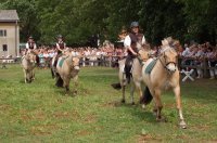 Mühlenfest 2011