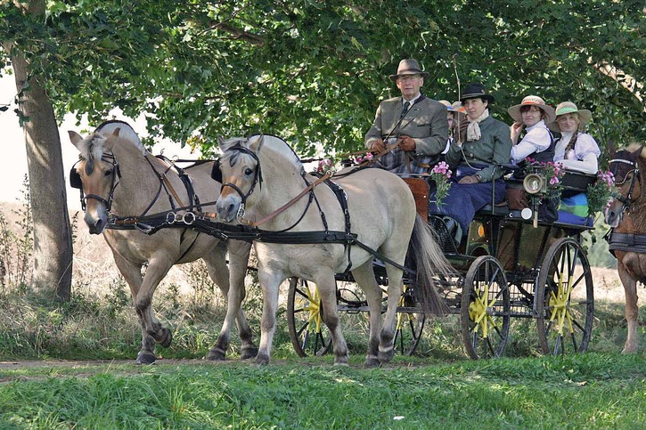 Moritzburg 2012