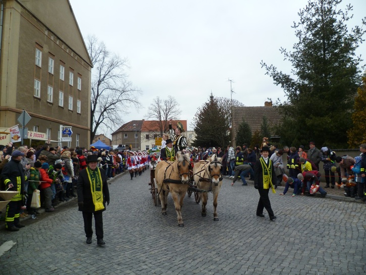 Schaufahren Karnevalsumzug02