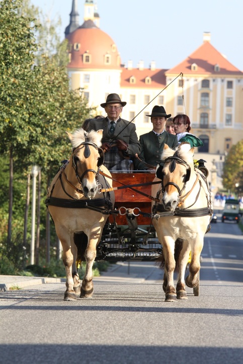 Schaufahren03