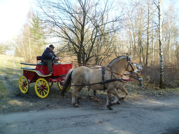 News Marathonfahrt