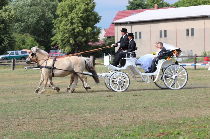 Hochzeitskutsche10