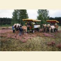 Blühende Heide-Tour